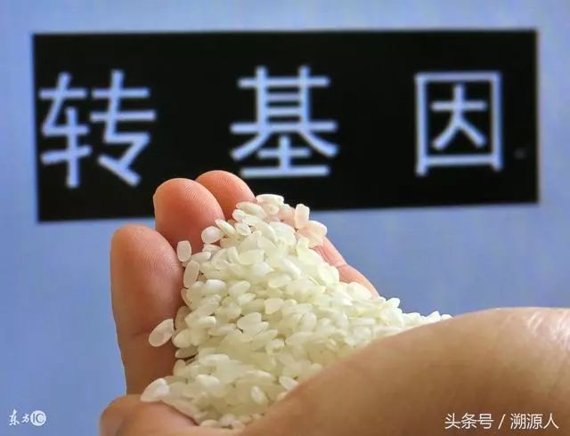 大米加工设备多少钱一套_大米加工设备流程_大米加工设备