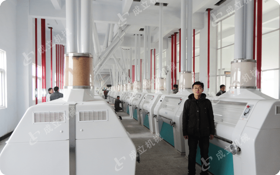 面粉小型加工设备厂家_小型面粉加工机器设备_小型面粉加工设备