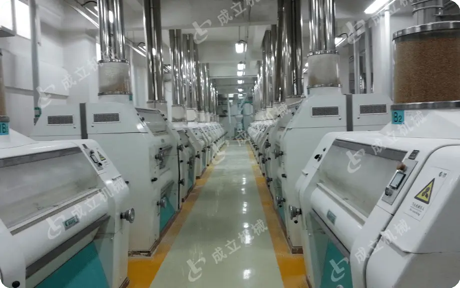小型面粉加工设备_面粉小型加工设备价格_最先进的小型面粉加工设备