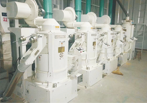 大型小米加工设备价格_小米加工成套设备价格_小米加工设备价格