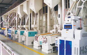 大型小米加工设备价格_小米加工设备价格_小米加工成套设备价格